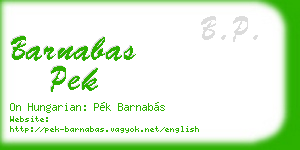 barnabas pek business card