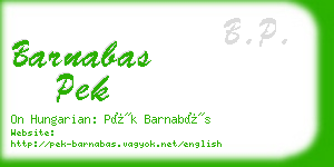 barnabas pek business card